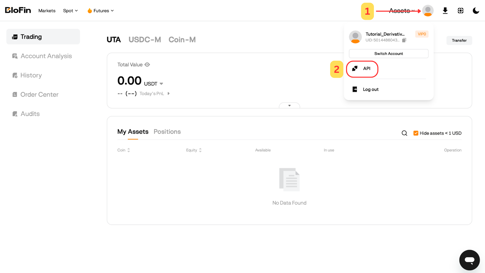 The Blofin account menu — API