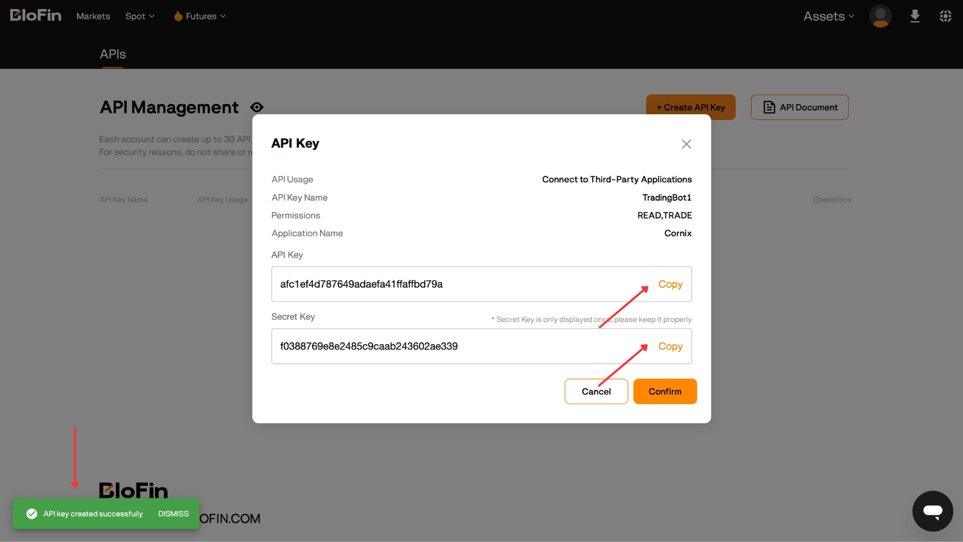 The created key — copy the API Key and Secret Key