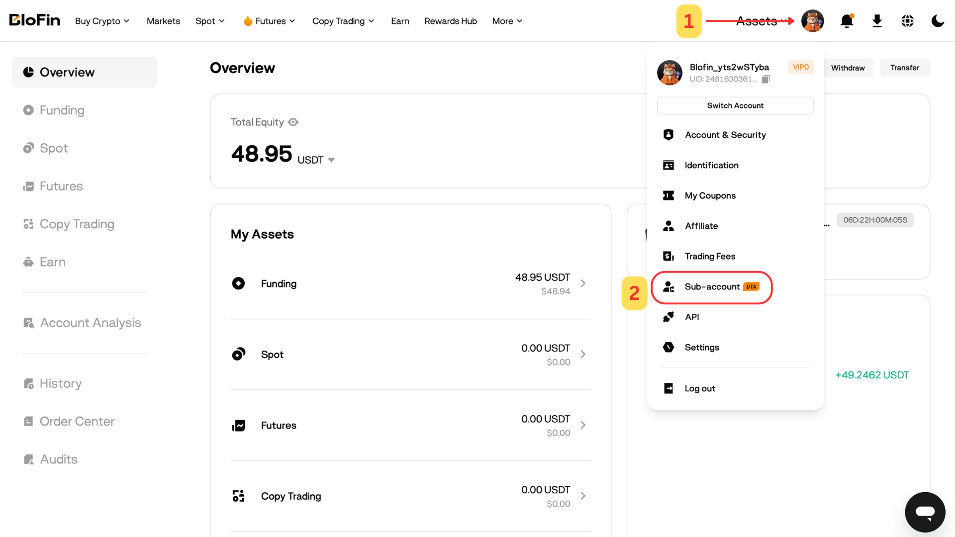 The account menu — Sub-accounts